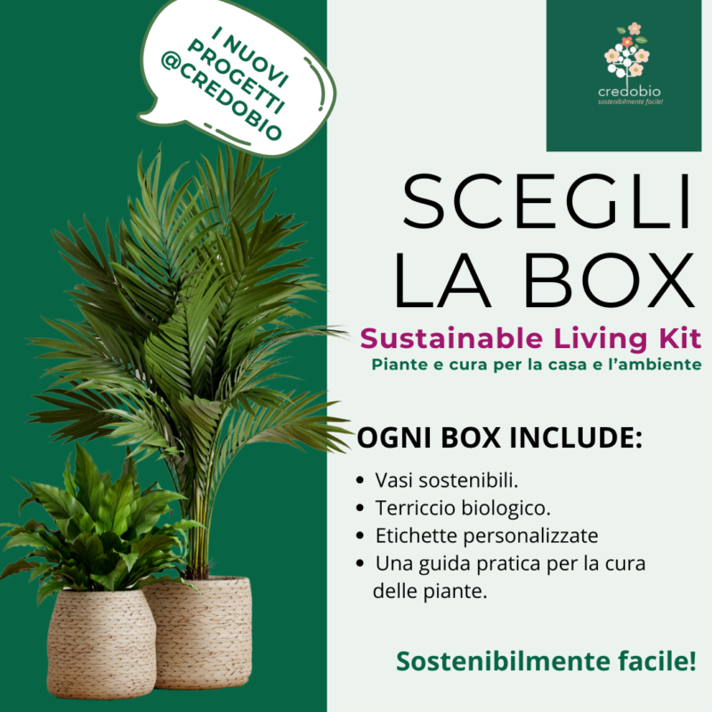 Sustainable Living Kit