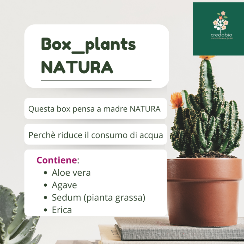 Box_Natura