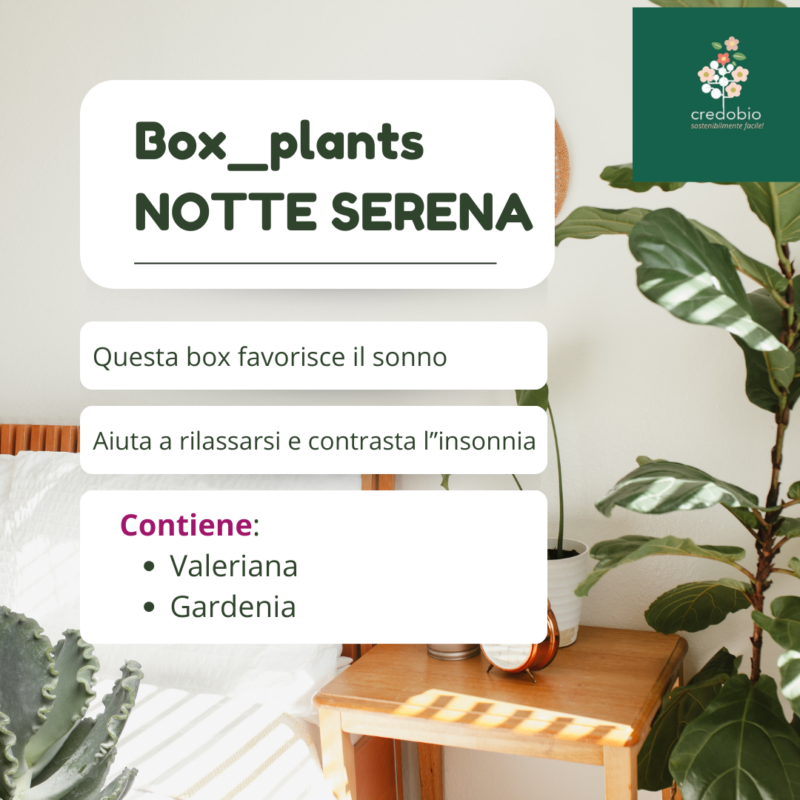 Box_Notte Serena