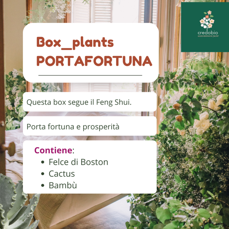 Box_portafortuna