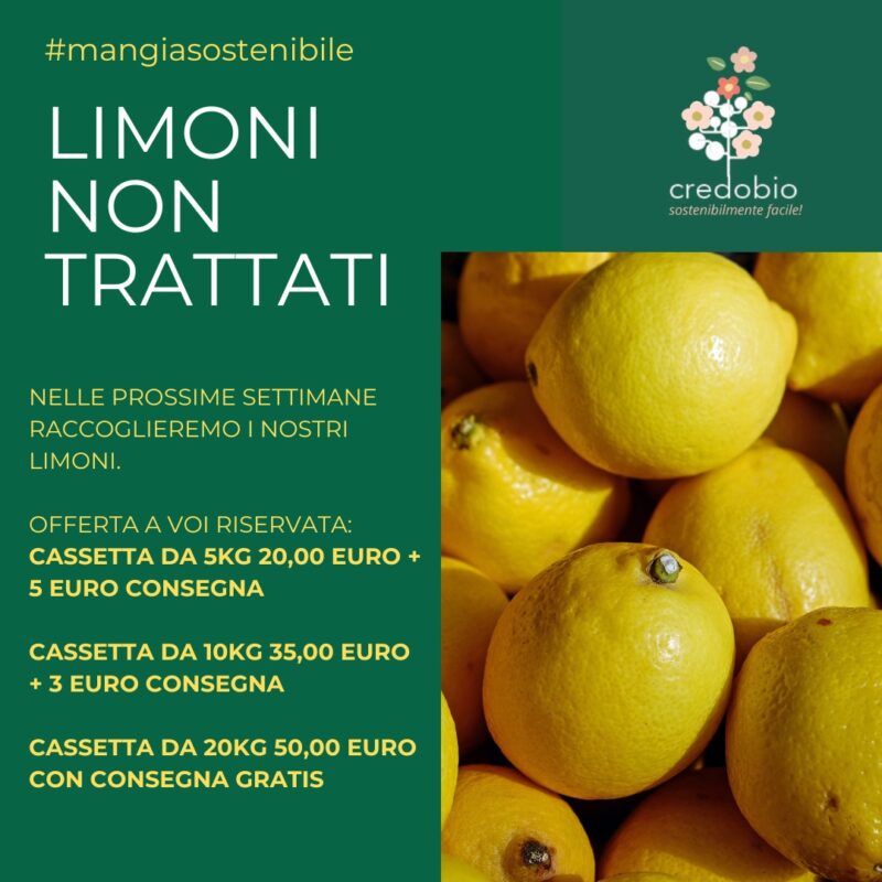 Limoni- cassetta 10kg